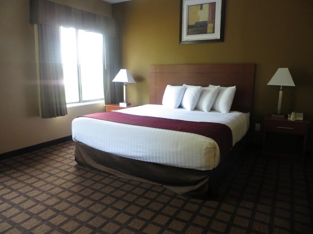 เบย์มอนต์ บาย วินด์แฮม นิว บัฟฟาโล Hotel นิวบัฟฟาโล ห้อง รูปภาพ