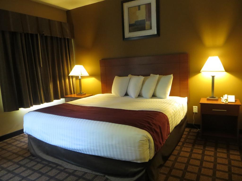 เบย์มอนต์ บาย วินด์แฮม นิว บัฟฟาโล Hotel นิวบัฟฟาโล ห้อง รูปภาพ
